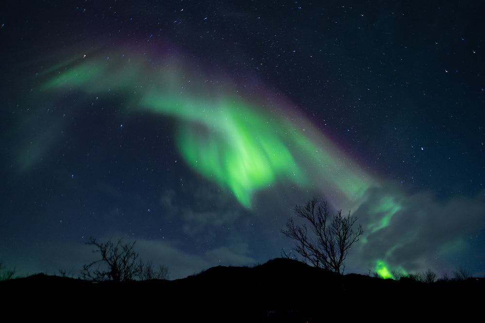 Shop Fine Art Prints of the Northern Lights, Tromso Norway